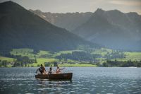Kaiserwinkl - Sommer: Walchsee