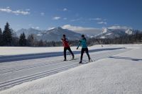 Kaiserwinkl - Winter: Langlauf