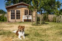 Pharisäerhof - Hunde-Spa für die Fellnasen