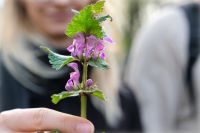 Natur kennenlernen mit der Landpartie – „vor der Haustür“ zwischen Harz und Heide