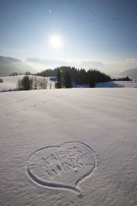 Kaiserwinkl - Winter: Winterlandschaft