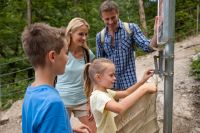 Kaiserwinkl - Sommer: Schmugglerweg