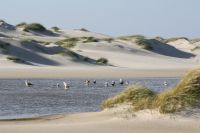 Hotel Anka - Sandschönheit Amrum