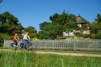 Radelnde entlang des Oststeeküstenradwegs 