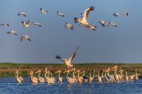 Thurgau Travel - Donaureisen - Donaudelta