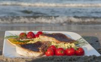 SAND - Zander mit dunkler SANDKruste 