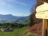 Kaiserwinkl - Sommer: Harauspitze