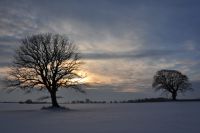 Paulsen´s Landhotel und Restaurant - Bohmstedt im Winter