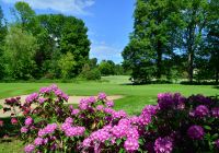 Mango´s Strandhotel - Golfclub Altenhof in der Nähe