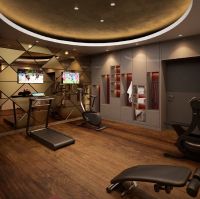 Plaza Premium Heidelberg - Fitness