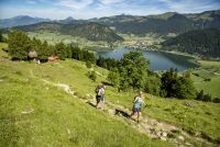 Kaiserwinkl - Sommer: Wandern