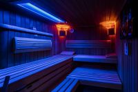 Villa Ulmenhof - Sauna