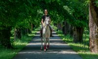 Reiten für Groß und Klein im Lopota Lake Resort & Spa