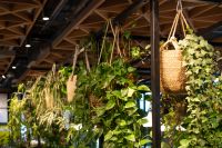 Four Elements Hotel Amsterdam - Herbs Garden Restaurant