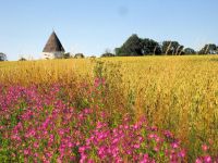 Inselradeln Bornholm