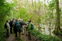 Wildniswandern in Deutschland