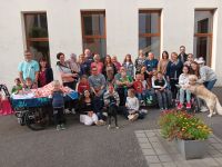 DKD Regensburg - Ehreamtssuche und Familientag September 2025