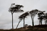 Wildniswandernin Deutschland