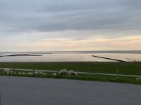 Blick auf die Lämmer am Wattenmeer vom neuen Restaurant Siel59