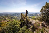 Naturerlebnis pur beim Wandern 