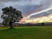 1.450 Hektar Fläche im Regnum Golf & Country Club Bodrum