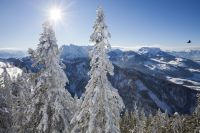 Kaiserwinkl - Winter: Winterlandschaft