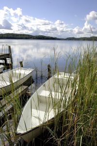 Mit dem Boot zur Hallig