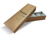 Bollé Safety - Go Green