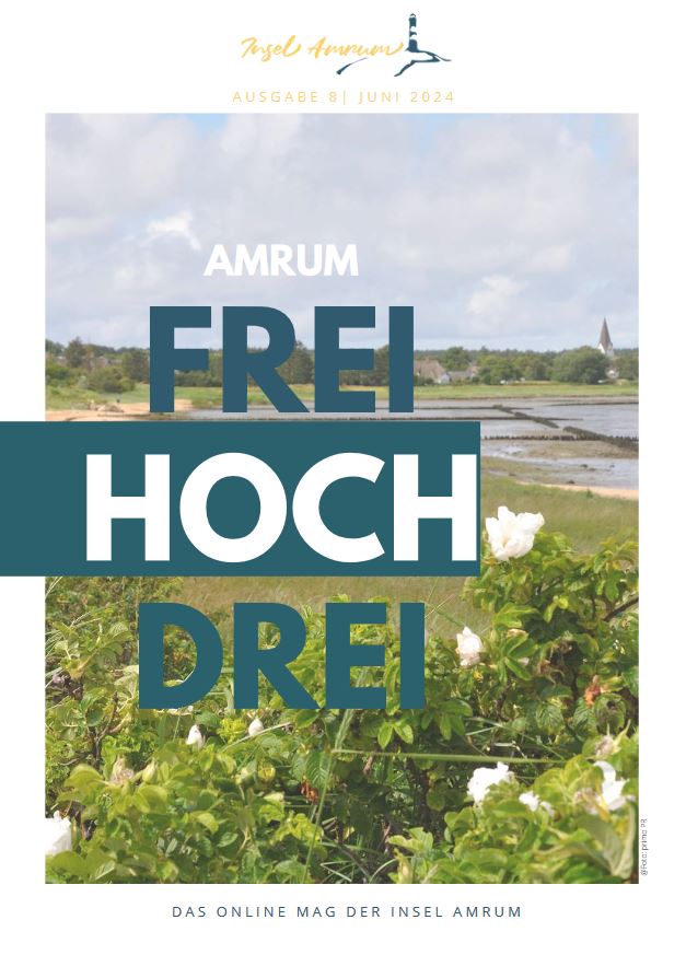 Cover Onlinemag Amrum 10 im Juli 2024