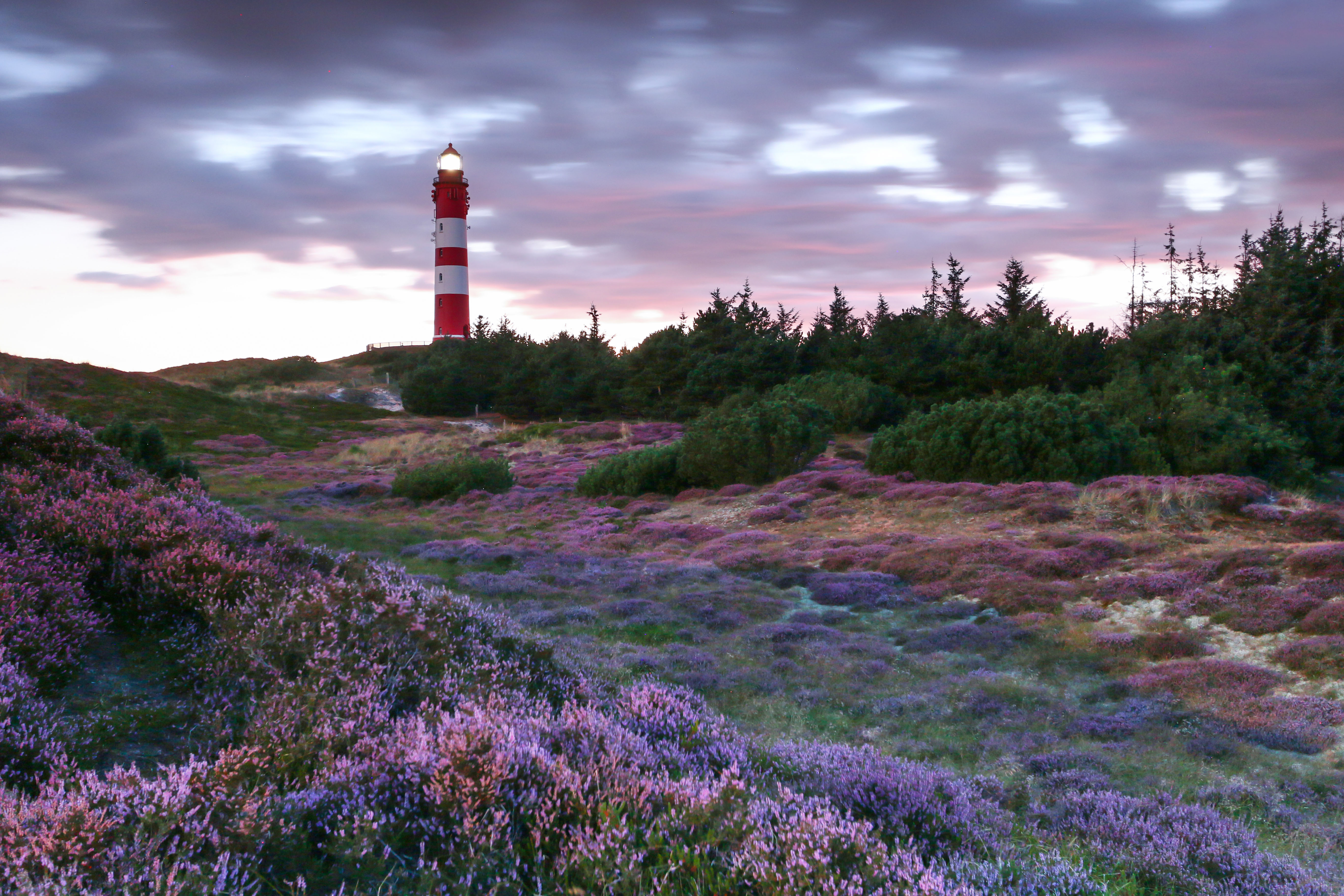 Amrum freihochdrei Online Mag primo PR