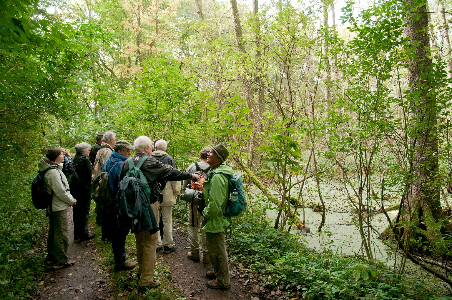 Wildnis Deutschland Wanderreise Tag des Waldes Die Landpartie