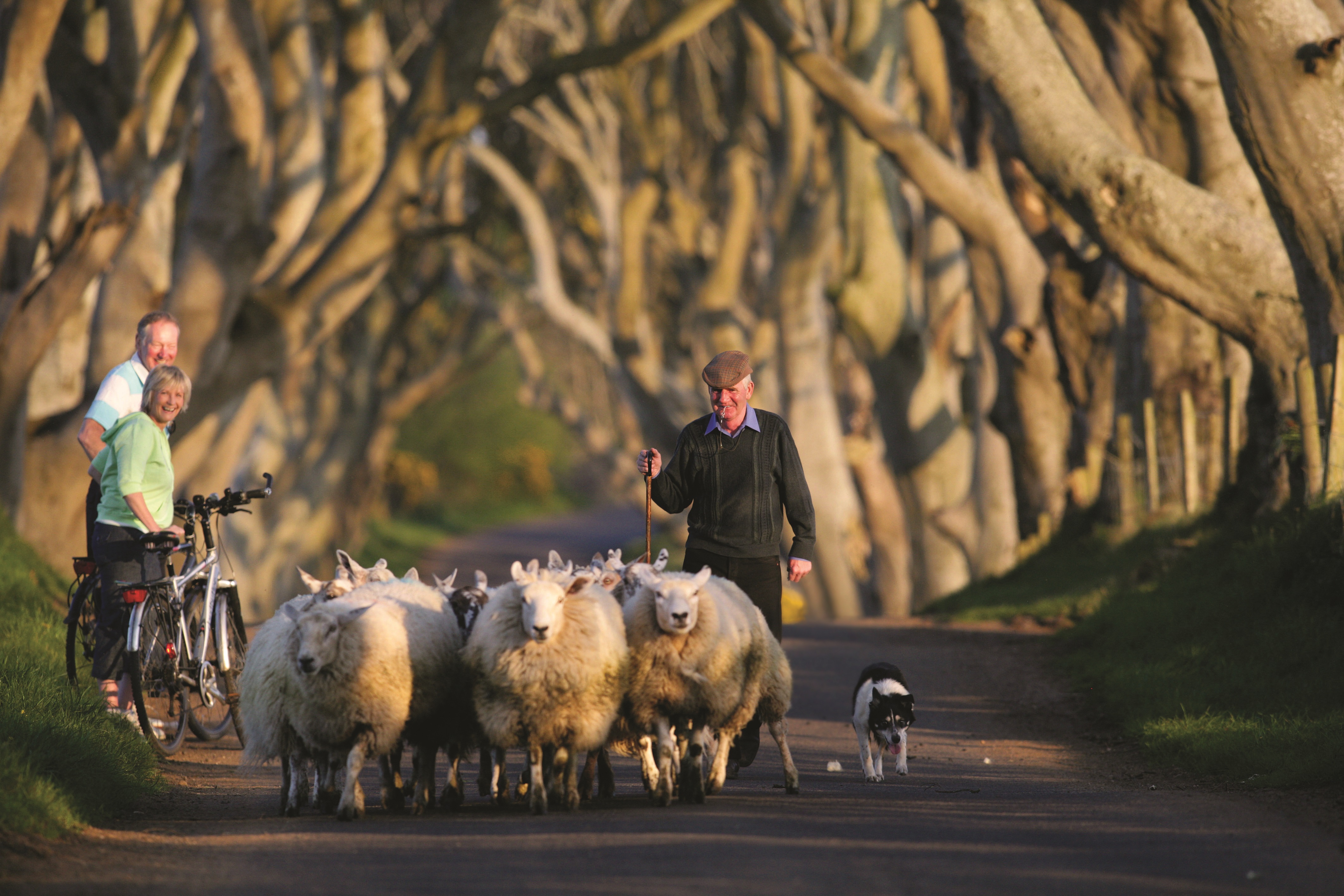 E-Bike Reise Irland mit Die Landpartie