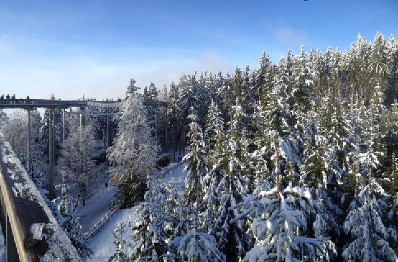 Waldwipfelpfad in Regensburg