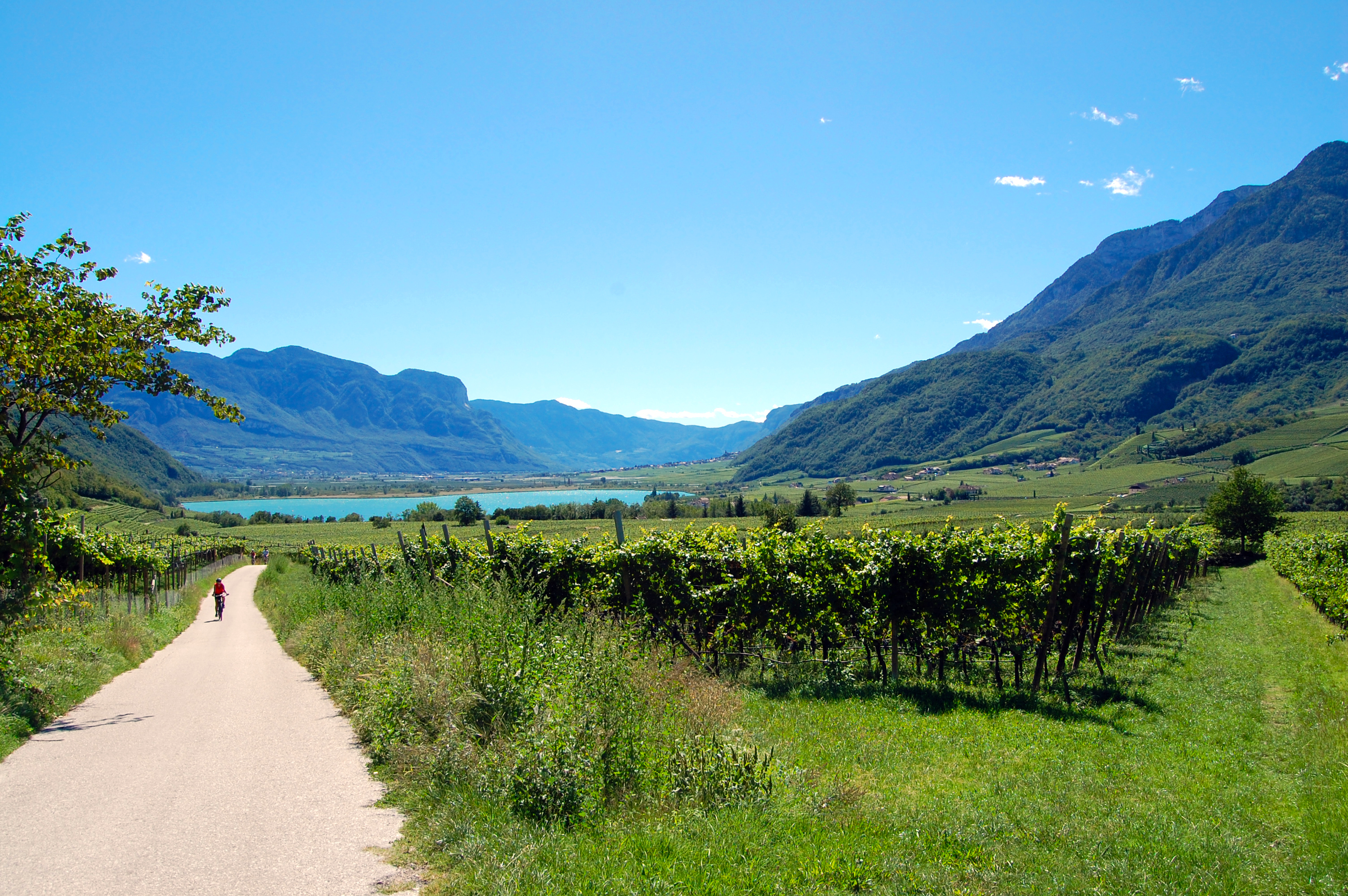 Südtirol per Pedale Copyright: Die Landpartie Radeln und Reisen