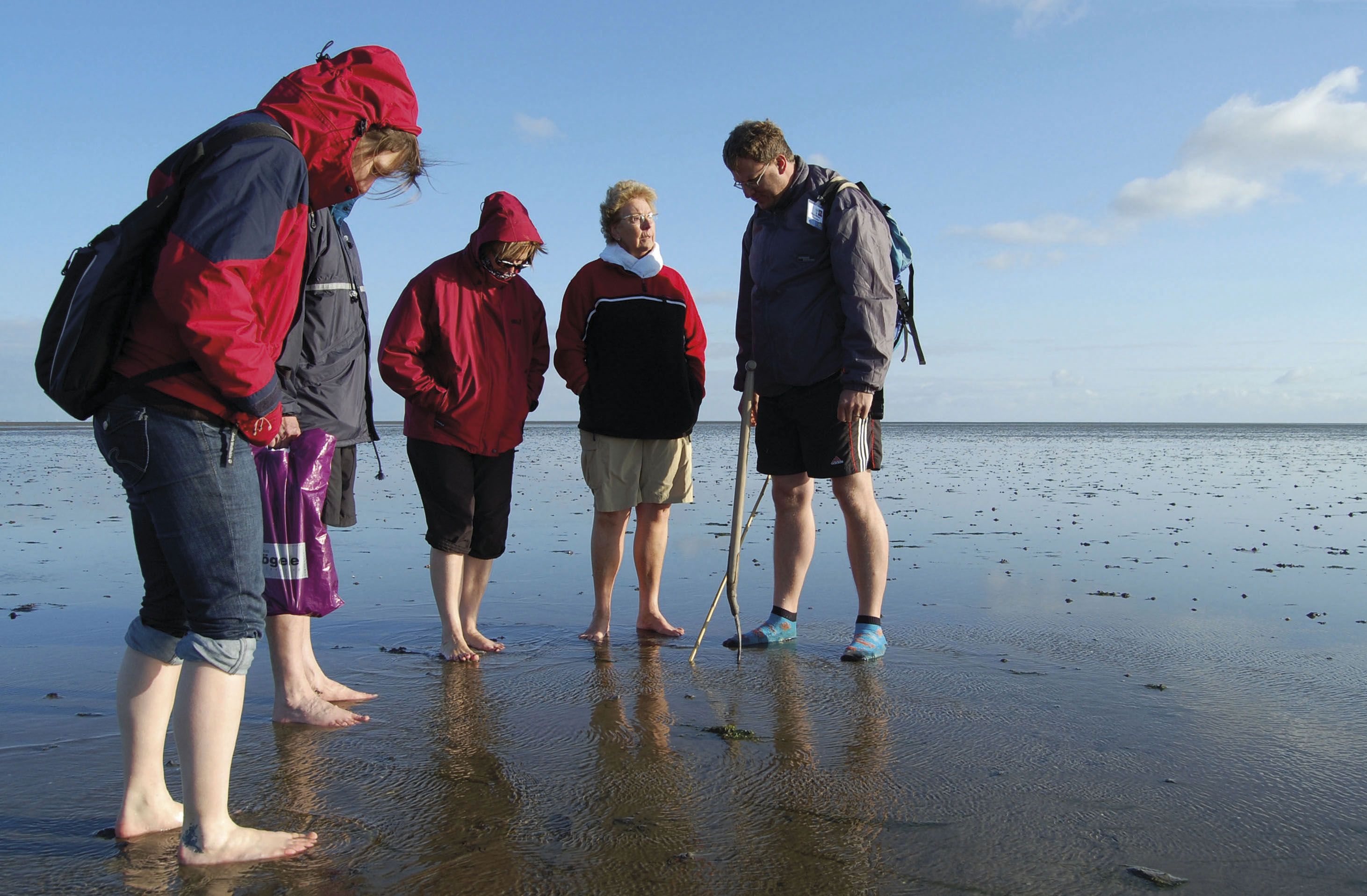 Die Landpartie - Inselradeln Nordfriesland