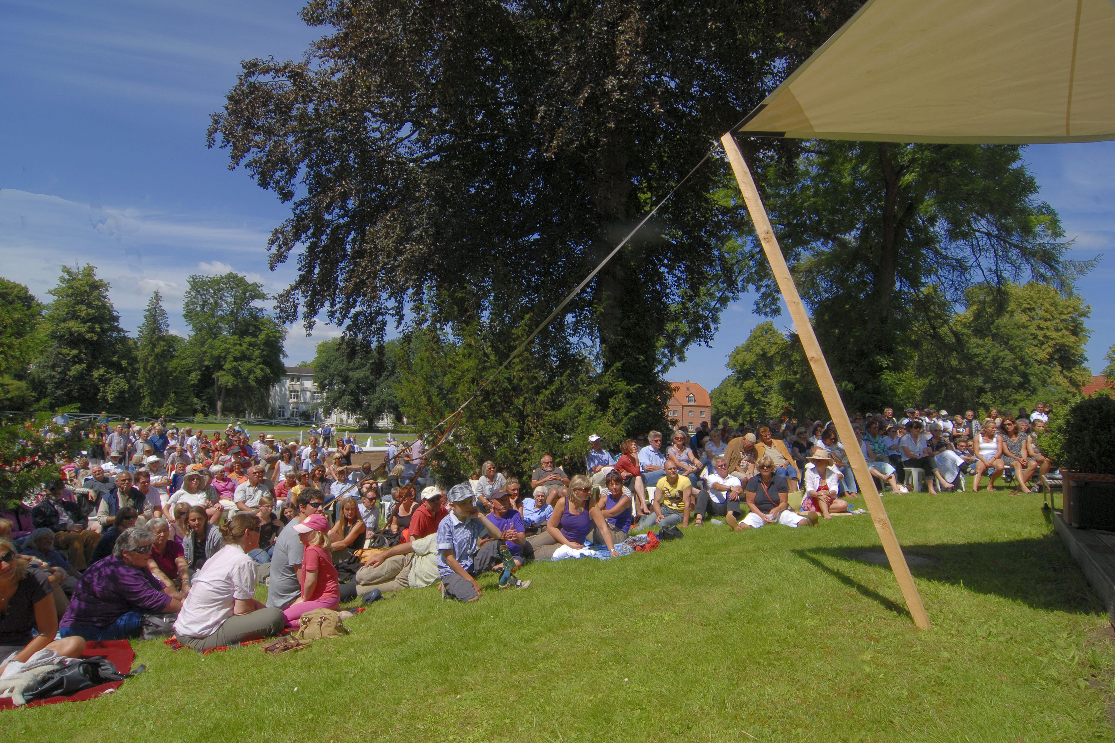 Jazz & Blues auf der Wiese