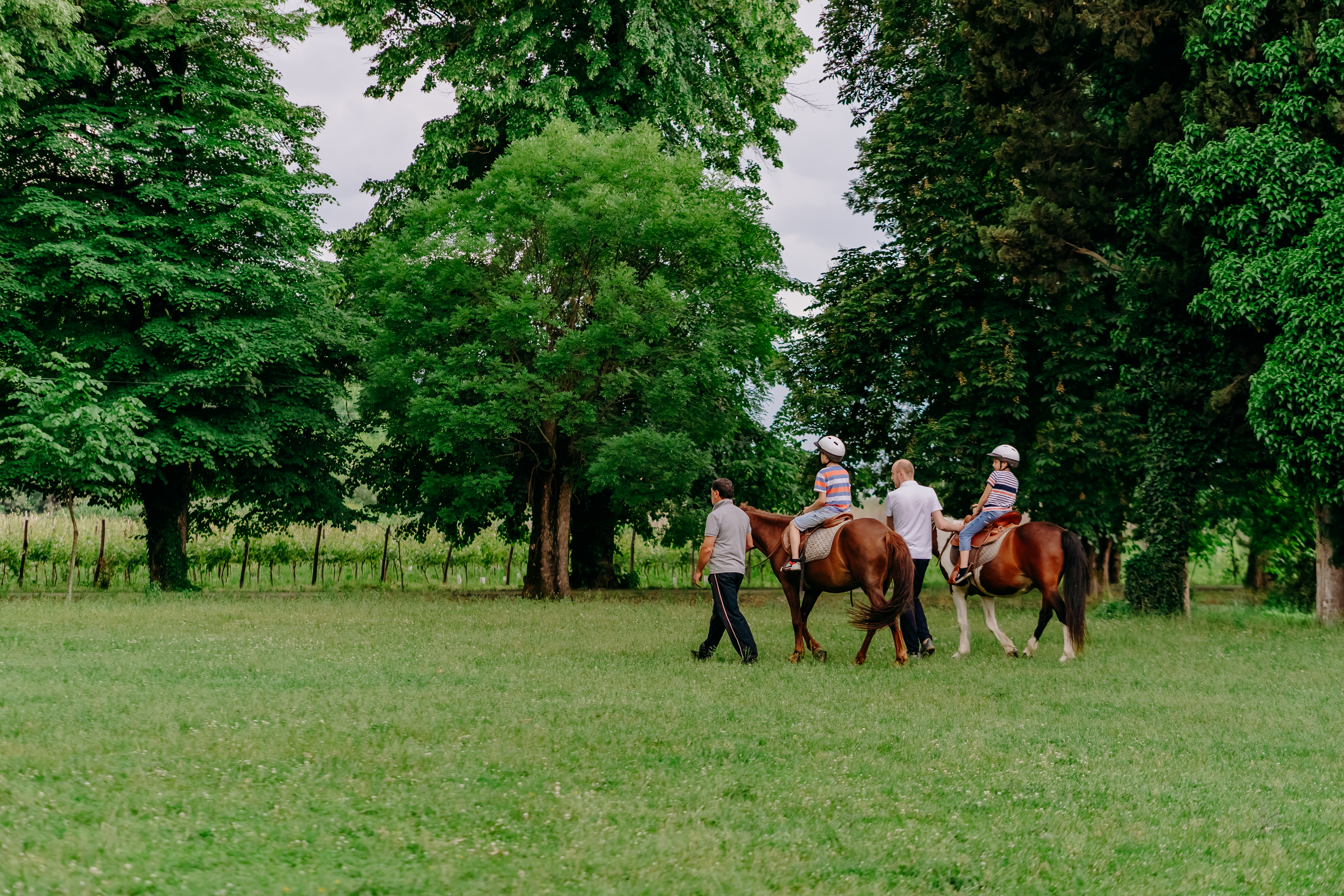 Lopota Lake Resort & Spa - Ponyreiten