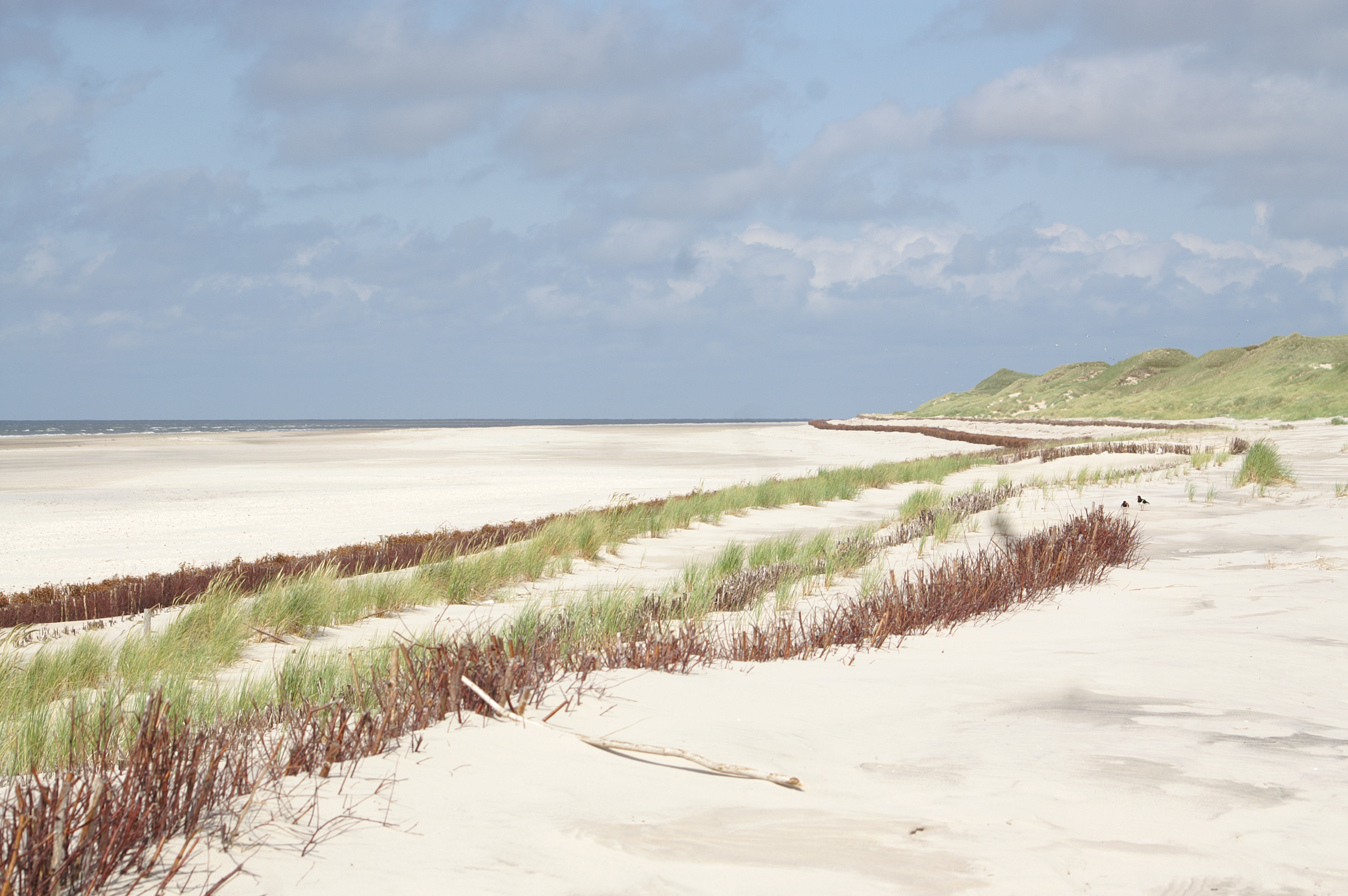 Strandlandschaft Amrum