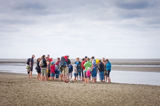 Wattsafari von Föhr nach Amrum 