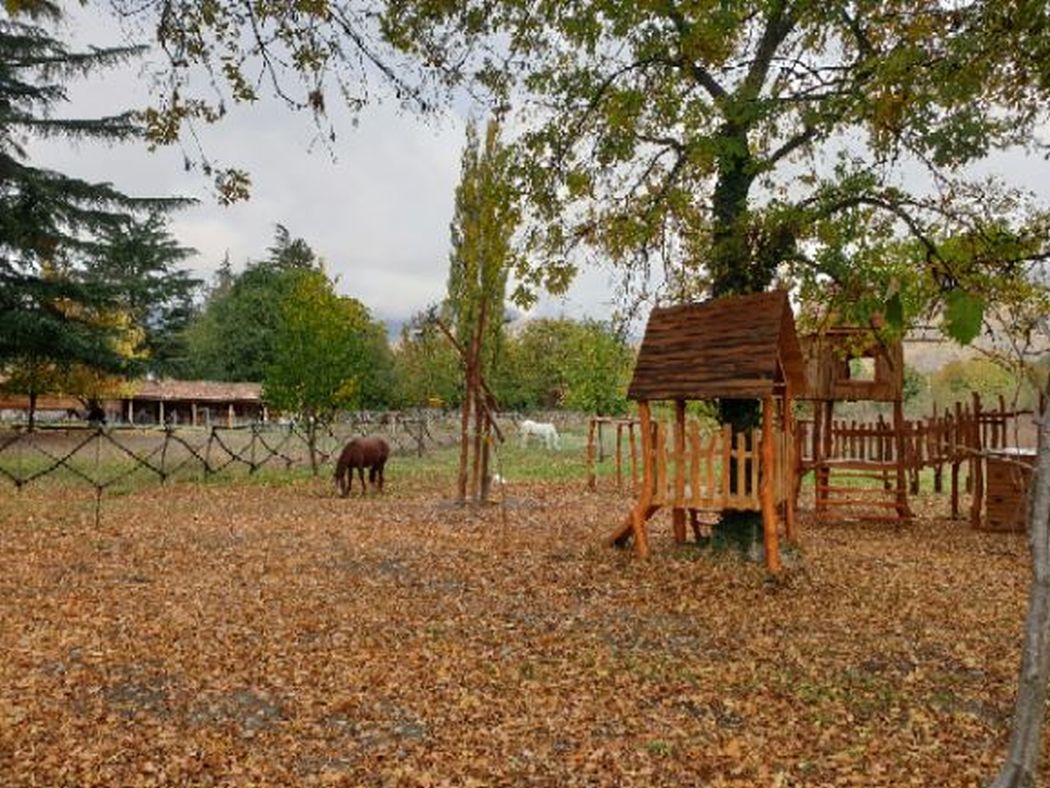 Lopota Lake Resort & Spa in Kachetien