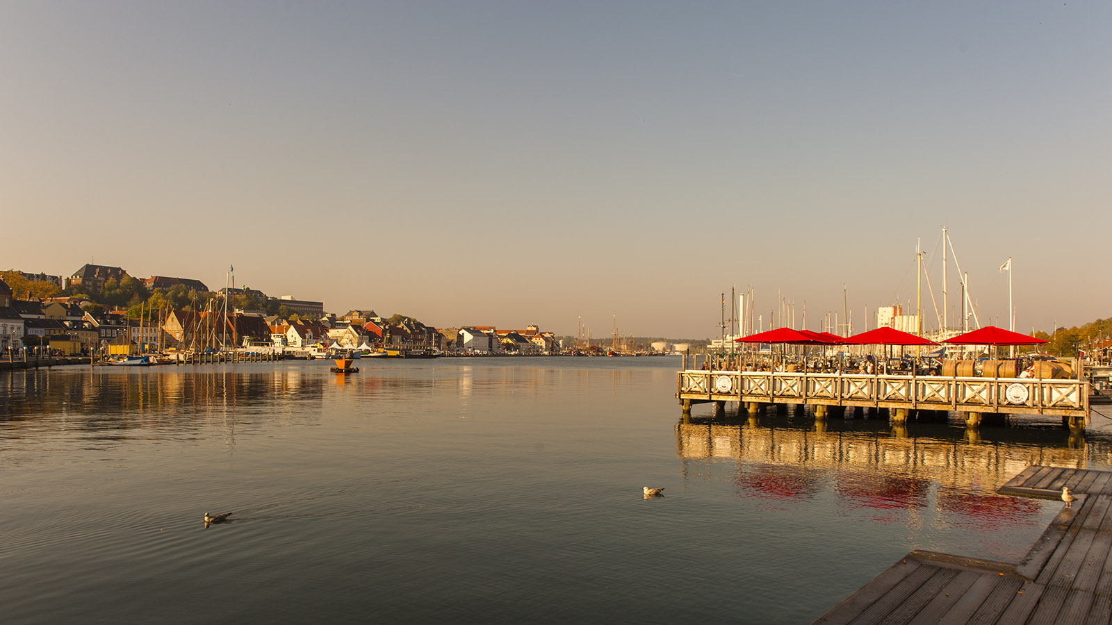 Flensburg mit Hilke Maunder